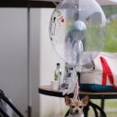 브라운 펫살롱 이미지