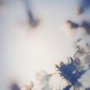 원목으로만드는나만의인테리어소품 이미지