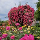 선돌 식육식당 이미지