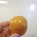 참나무촌