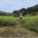 설화산펜션 | 아산글램핑 자연과 함께하는 아산 YJ 글램핑 체험기