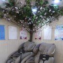 강민한의원 이미지