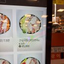 노량진 수산시장 회식 추천 🍤 모듬회·새우회·매운탕까지 완벽 코스