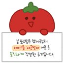 다이나 에스테틱