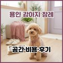 1668 | 용인 강아지 장례 가까운 시설은? 용인 애견 장례식장 위치부터 비용, 후기까지.