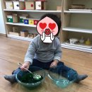 스콜라몬테소리 이미지