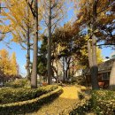 원골어린이공원 이미지