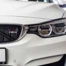 F83 이미지