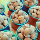 부산자갈치 이미지