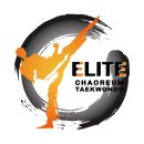 엘리트 차오름태권도장 네이버블로그