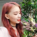 시랑 이미지