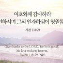 묵상 - 시편 117편 1절에서 118편 7절 이미지