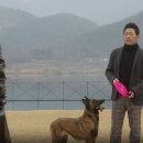 강가의집 이미지