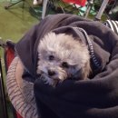 마이티그루밍 이미지