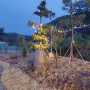 산들애 한옥펜션 이미지