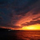 행복2농장 이미지