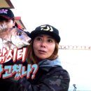 대기카포스 이미지