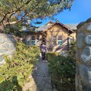 춘이농장 이미지