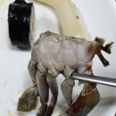 미양기사식당 이미지