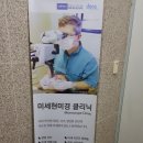 자하연치과 이미지