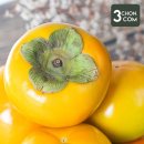 삼촌이네 농산 이미지