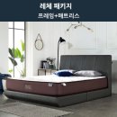 레체플러스 이미지