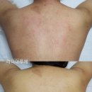 라미아루체 이미지