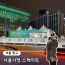 서울시청 스케이트 예약 방법 현장 방문 후기