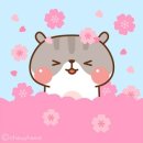 인천114 네이버블로그
