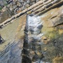 사계절면관 | 🏞️ 청주 근교 여름 물놀이 여행, 🌿동학사계곡💦