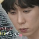 코쿤