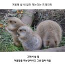 경심굴국밥 | 2022 10/31-11/6 자, 이제 시작이야 11월 가보자구