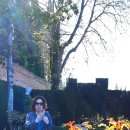 오월의 정원 이미지