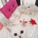 남구-037 이미지