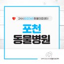 포천동물병원 이미지