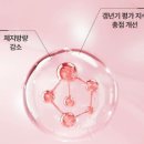 플로라 이미지