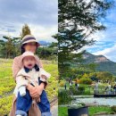 에이플농장 | 남양주 산들소리수목원 (제빵소, 카페, 동물농장) 서울 근교 아기랑 가볼만한 곳, 단풍놀이 피크닉 추천