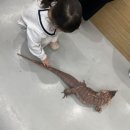 (주)수달앤쥬 이미지