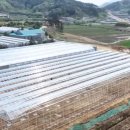 서진경영컨설팅 - 시흥시 비둘기공원7길 51 | 서진경영컨설팅