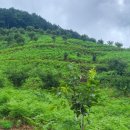 지만농장 이미지