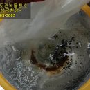 황죽로 이미지
