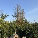 삼달다방 이미지