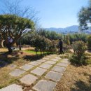 세계모란공원 이미지