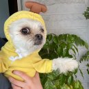 유경통상 | 1월의 일상 :: 이사, 평창 여행, 생일