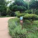 산유골 수목정원 이미지