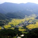 난초목장 이미지