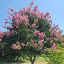 흥해시장 이미지