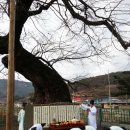 세간1구 이미지