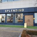 스플렌디노 일산점
