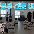 쌍용예가태권도 이미지